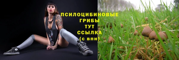 альфа пвп Кукмор