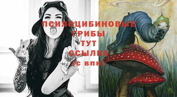 скорость Краснотурьинск