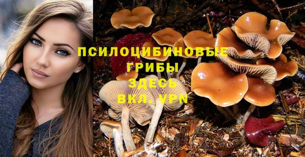 альфа пвп Кукмор