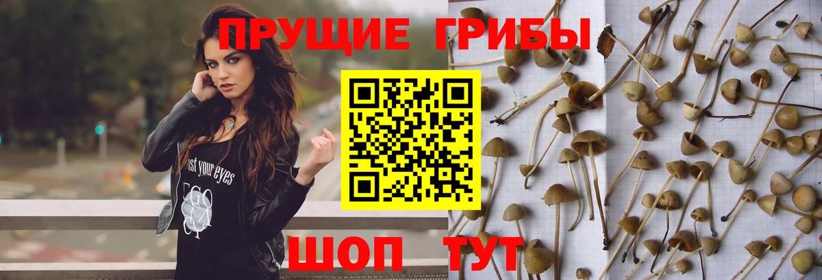 купить наркоту  Псилоцибиновые грибы MAGIC MUSHROOMS  Вход с VPN  Лянтор 